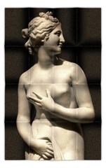 Creative picture of Venus statue - classical statue of young beautiful woman