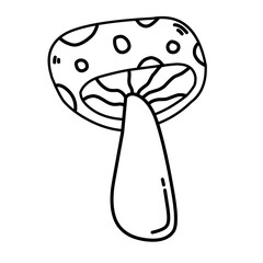 Hand Drawn Mushroom Illustrasion 