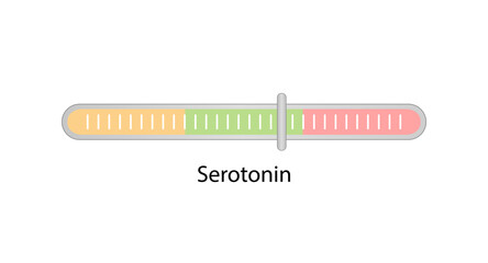 Serotonin level. Monoamine neurotransmitter. Vector illustration - obrazy, fototapety, plakaty