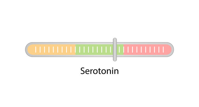 Serotonin level. Monoamine neurotransmitter. Vector illustration