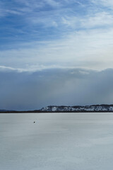 氷上にたたずむオオワシ