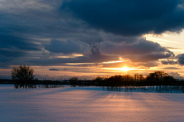 雪原の夕日