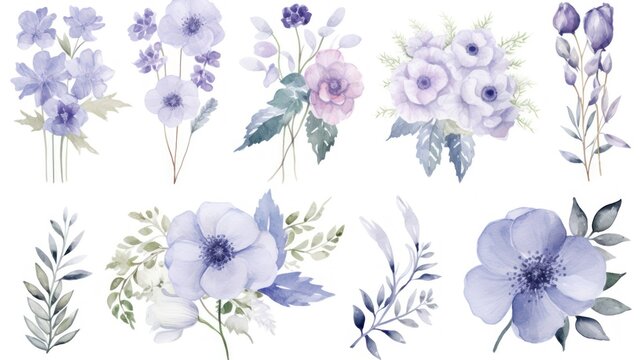  a set of watercolor flowers and leaves on a white background stock photo - budget - free floral clipart.