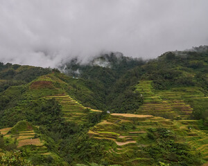 Terrazas de arroz de Banaue, Filipinas