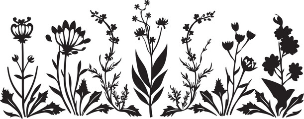 Midnight Bloom Boundary Floral Vector Icon Design Elegant Noir Petal Perimeter Black Floral Border