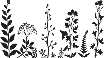 Midnight Ink Blossoms Floral Border Vector Icon Elegant Petal Frame Black Vector Botanical Emblem