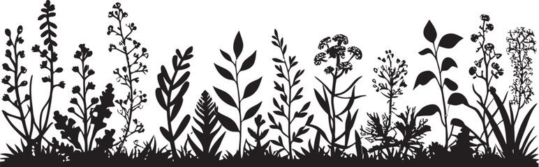 Midnight Bloom Boundary Black Floral Vector Emblem Inky Botanical Edging Floral Border Vector Icon