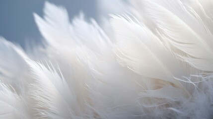  a close up of some white feathers on a blue and white background with a blurry sky in the background.