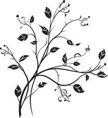 Vineyard Elegance Monochrome Icon Wine Branch Illustration Black Logo