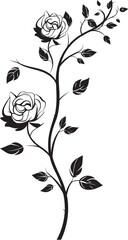 Floral Wine Sketch Black Design Vineyard Botanicals Monochrome Vector