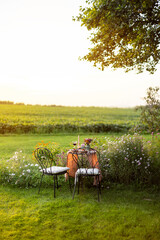 Obraz premium Beautiful green lawn with flowers and dining table for two during the sunset. Romantic picnic on nature