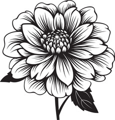 Single Petal Elegance Vector Chic Botanical Minimalism Iconic Monotone