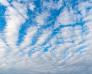 Obraz premium blue sky with clouds lined up in rows