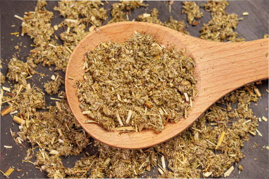 Dried Artemisia vulgaris or common mugwort herb in rustic spoon. Herbal medicine