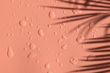 Beautiful pink background with water drops and shadow of a palm tree branch.