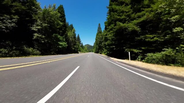 Redwood Highway Northbound Avenue of Giants S Entrance to Miranda 05 Front View Driving Plates of North California USA Ultra Wide
