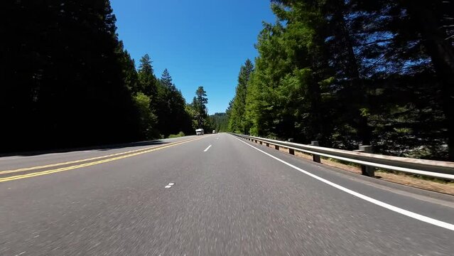 Redwood Highway Northbound Avenue of Giants S Entrance to Miranda 06 Front View Driving Plates of North California USA Ultra Wide