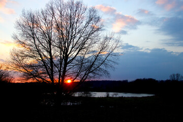 Sunset at the small watering hole in springtime