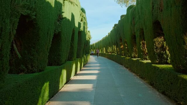The Alhambra Palace - Promenade of the Cypress Trees, connecting Alhambra with the Generalife, Granada, Andalucia, Spain