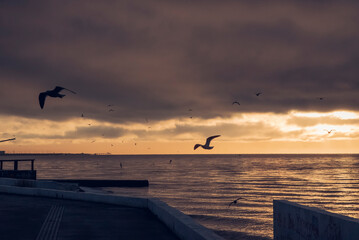 sunset on the beach