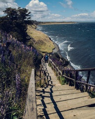 beach and sea