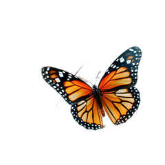 Fototapeta na wymiar Butterfly and flowers isolated on transparent or white background, png 