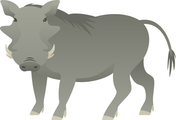 Flat minimalist color illustration of warthog standing. African exotic wild animal clipart isolated on white background.
