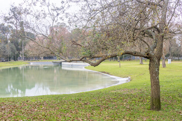 Lake in the park of Quinta das Conchas and Lilases in autumn, Lisbon, Portugal, Landscape concept