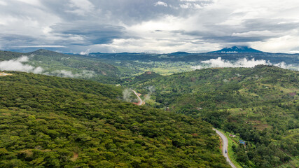 Fototapeta na wymiar Aerial view of Agricultural plantation.