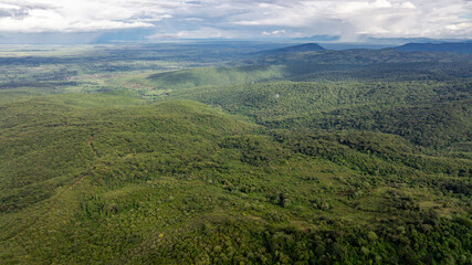 Fototapeta na wymiar Aerial view of Agricultural plantation.