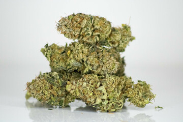 dried hemp cannabis flower buds