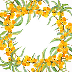 Fototapeta premium Decorative frame background made of succulent branches of sea buckthorn, bright yellow.
