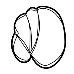 croissant doodle line drawing