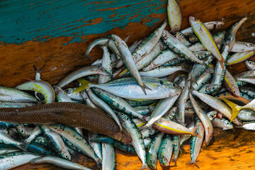 Inhabitants picturesque fishing village of Batavia