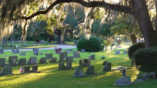 Old American cemetery with rows of tombstones under southern oak trees on green grass in Orlando, Florida