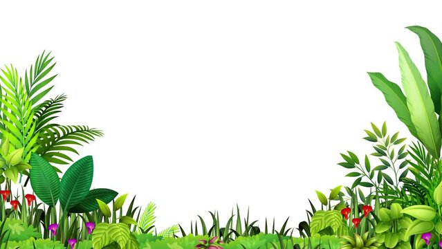 tropical plants moving in the wind in a loop animation on a white background, product 4k background 