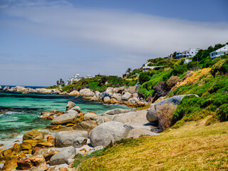 Simon's Town beach and boulders and houses on steep cliff, cape peninsula, Cape Town, South Africa