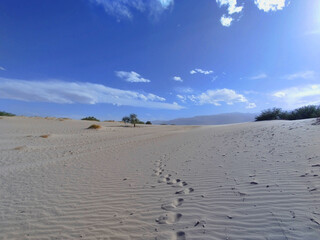 Fototapeta na wymiar Footprints in the sand in the dunes of Los Medanos near the Argentine town of Cafayate