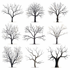 Winter bare trees collections 