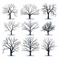 Obraz premium Winter bare trees collections 