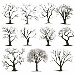 Winter bare trees collections 