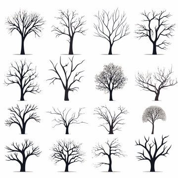 Winter bare trees collections 