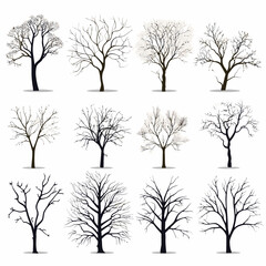 Winter bare trees collections 