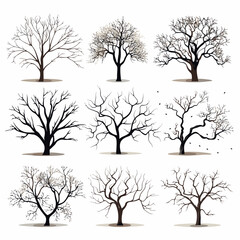Winter bare trees collections 