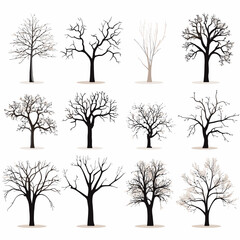 winter tree bare trees collection