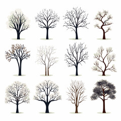 winter tree bare trees collection