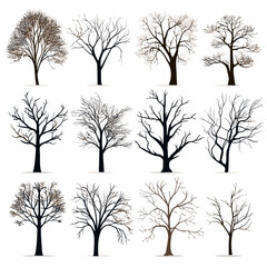 Obraz premium winter tree bare trees collection
