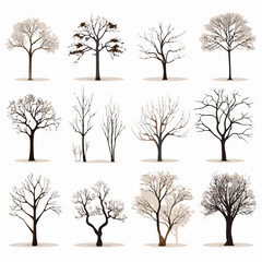 winter tree bare trees collection