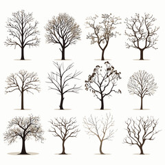 winter tree bare trees collection