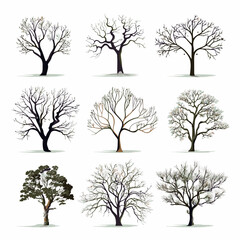 Vector winter bare tree collection